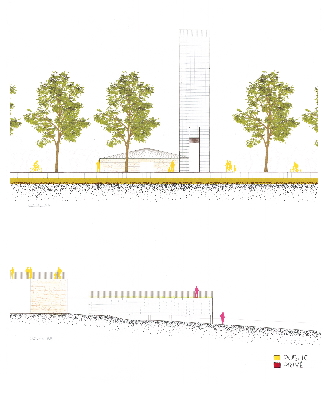 Dessin en coupe avec arbres et éléments paysagers
